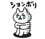 811306043