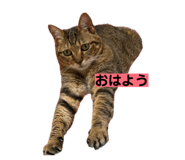 811306786