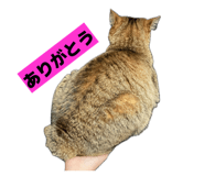 811306789