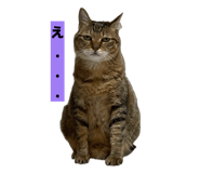 811306799