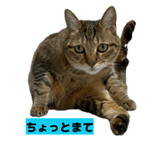 811306803