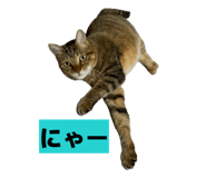 811306809