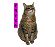 811306811