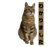 811306812