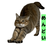 811306815