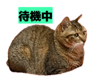 811306818