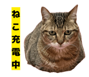 811306820