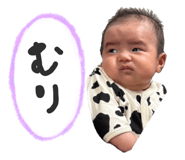 811312312