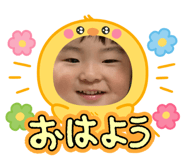 811313705