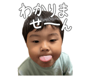 811313728