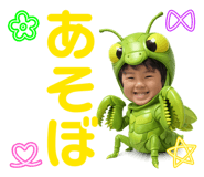 811313733
