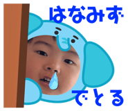 811313737