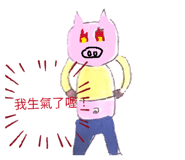 811316210
