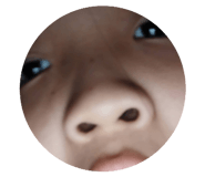 811317536