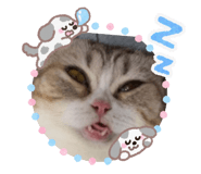 811320817