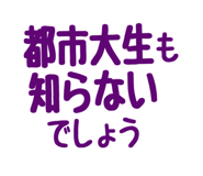 811325884