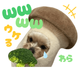 811327147