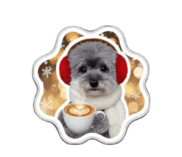 811331445