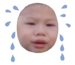 811338669