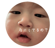 811338850
