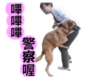 811350310