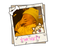811352640