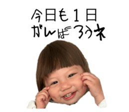 811367316