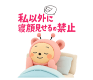 811370341