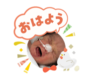811374213