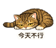 811420111