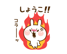 81142401