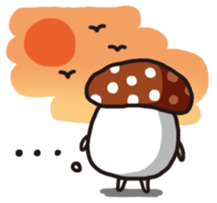 8114406