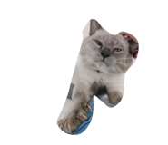 811483011