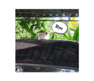 811489180