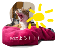811491140