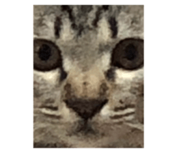 811494734