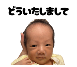 811496395