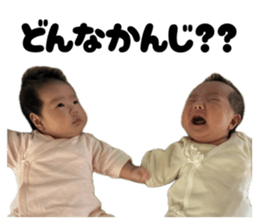 811496403