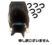 811500117