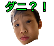 811502585