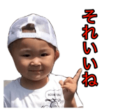 811502587