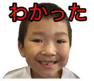 811502590