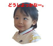 811503601