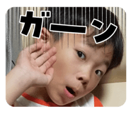 811503604