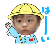 811503616