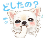 811533237