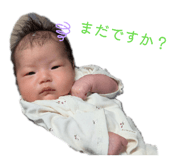 811536597