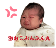 811536600