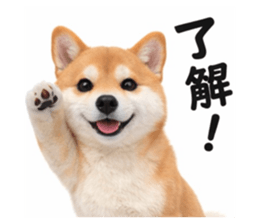 811538960