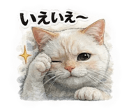 811553234